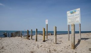 Beach barrier, Mike Maloney