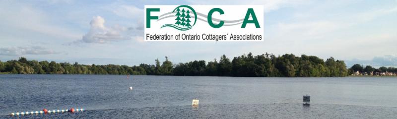 FOCA Newsletter – April 2016