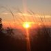 2016 Civic Holiday Weekend
