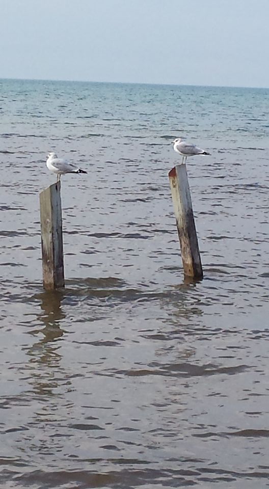 Beach walk Photos