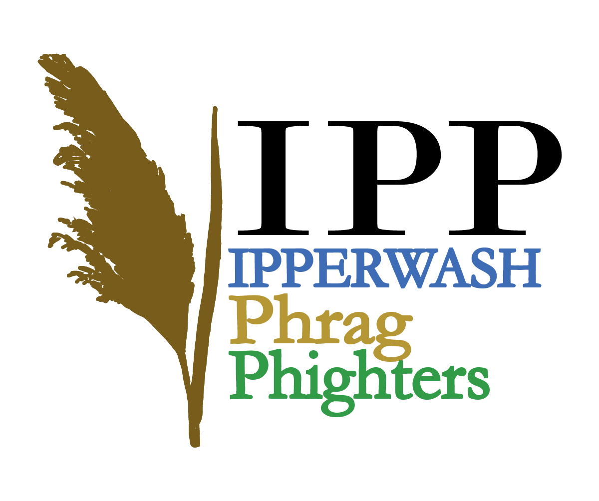Ipperwash Beach and Dunes Spading Event