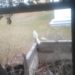 20161129_123910