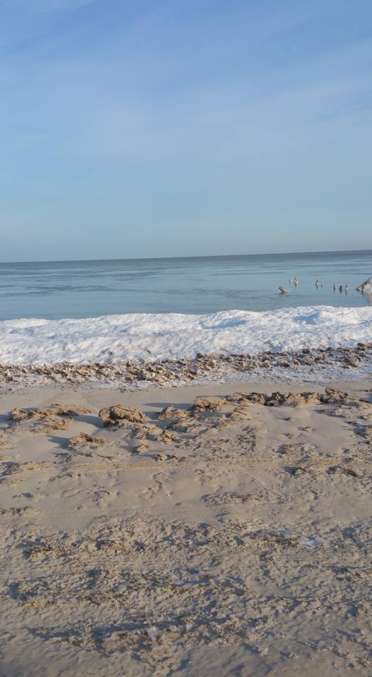Beach Walk