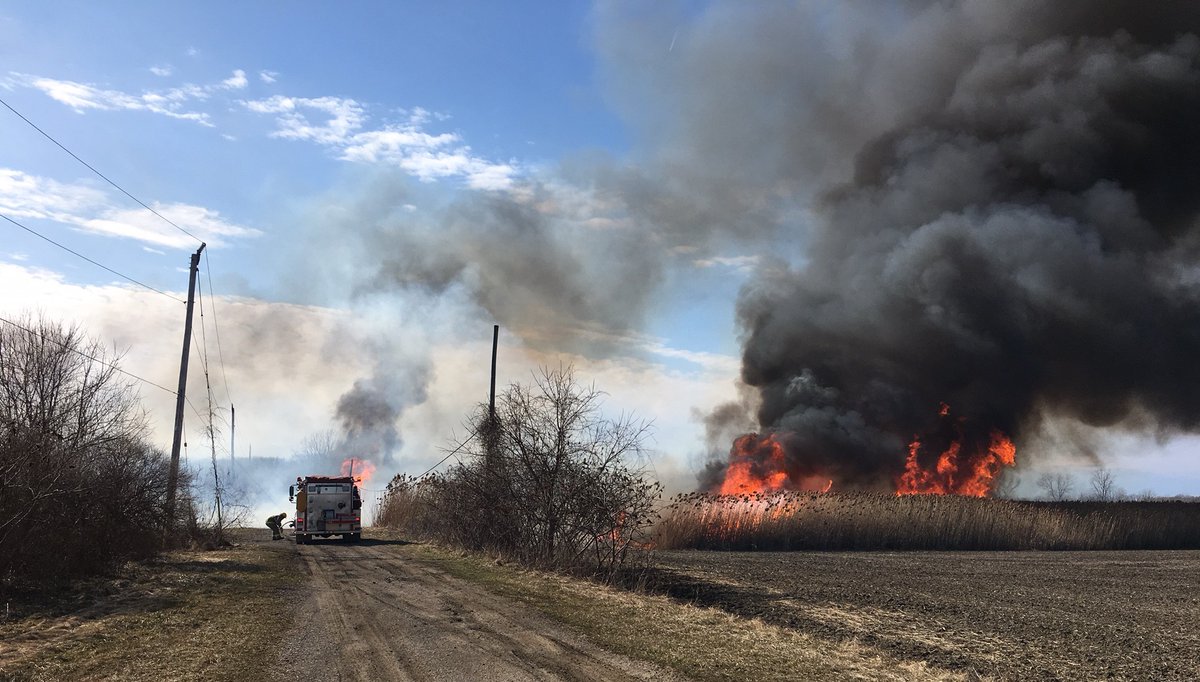 Phragmites burn near Walpole